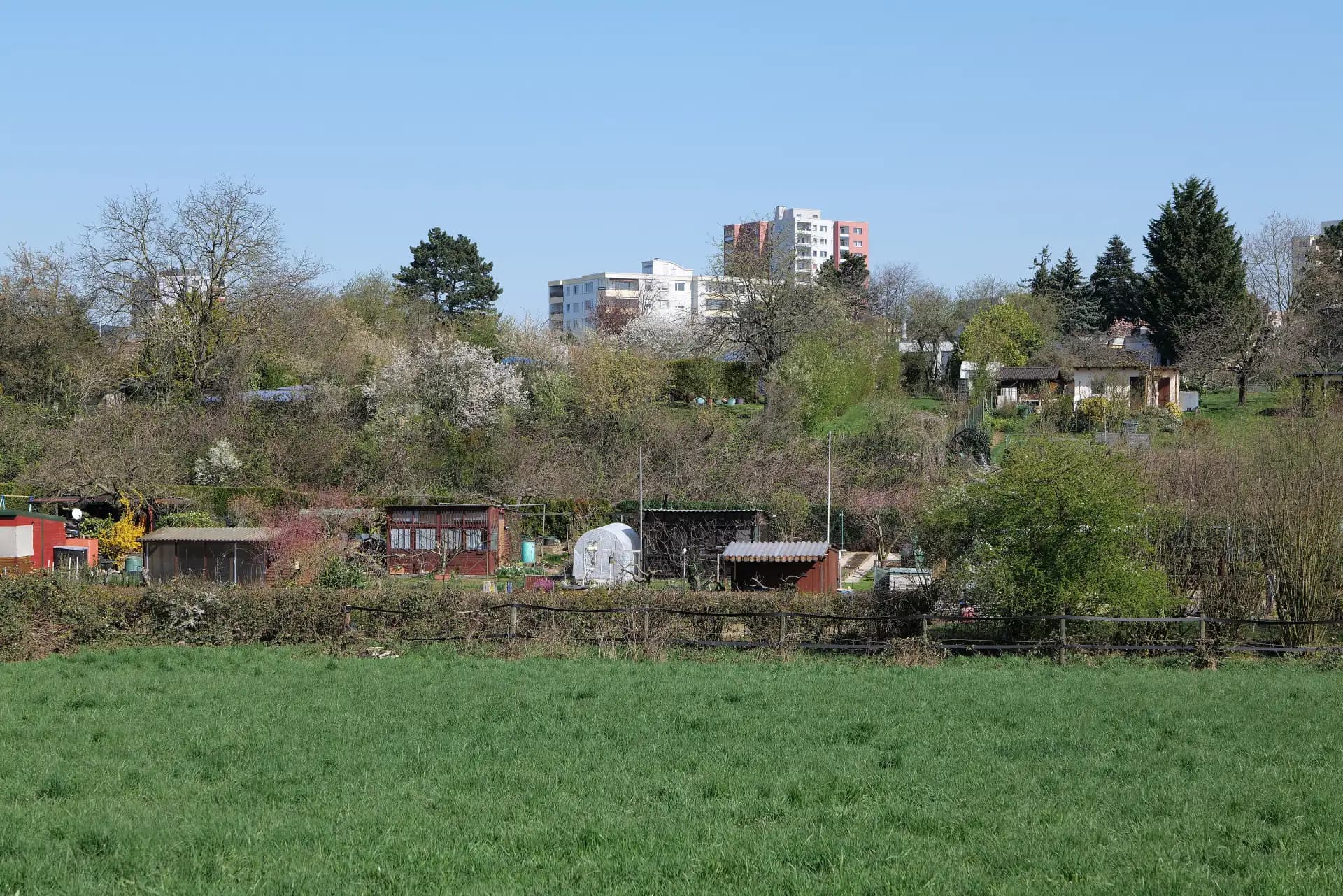 Wiesen und Kleingärten am Ortsrand von Steinbach (Taunus)