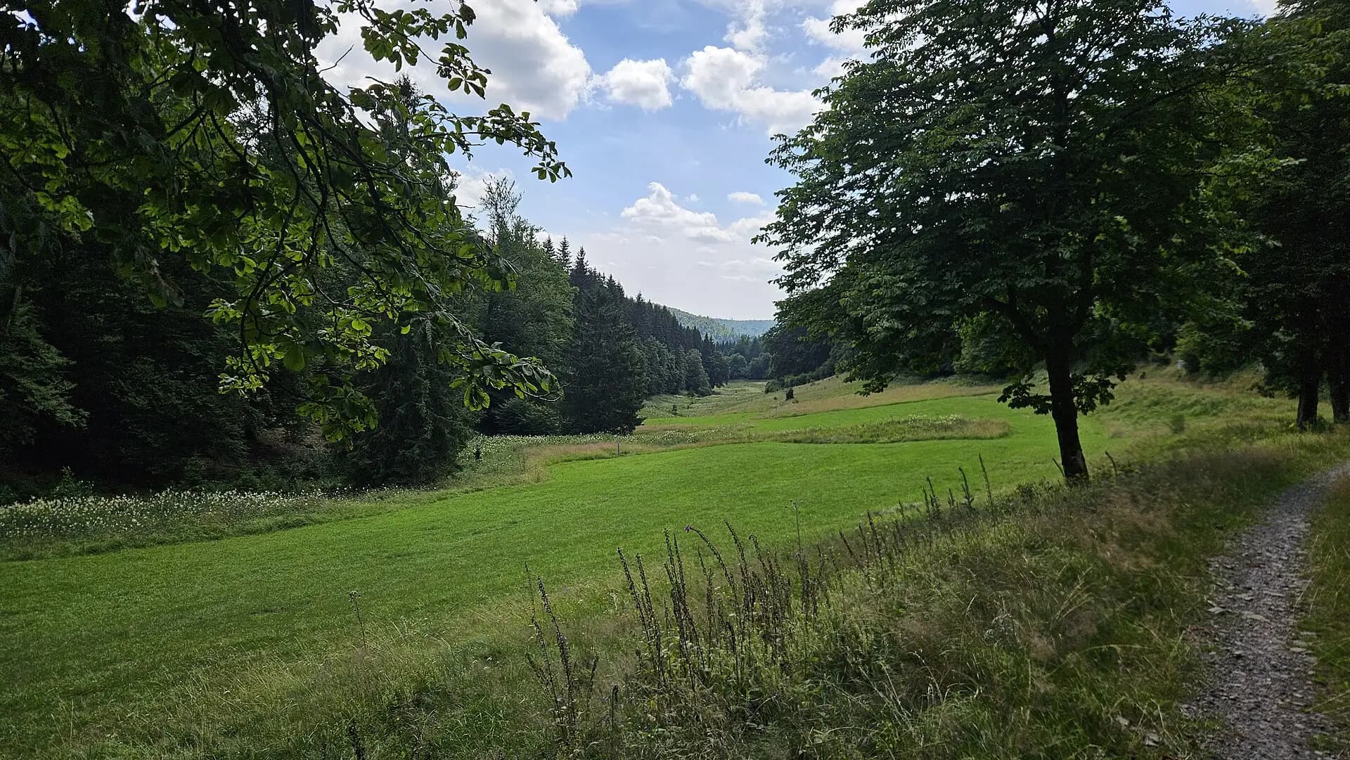 Wiesental mit Wanderweg in Lützelbach