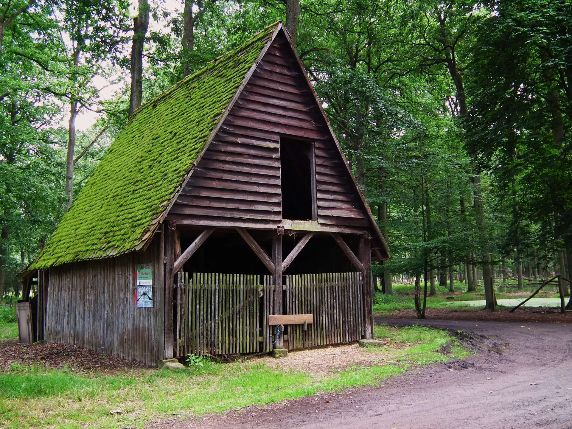 Moosbewachsene Holzhütte im Wildpark Alte Fasanerie in Hanau-Klein-Auheim