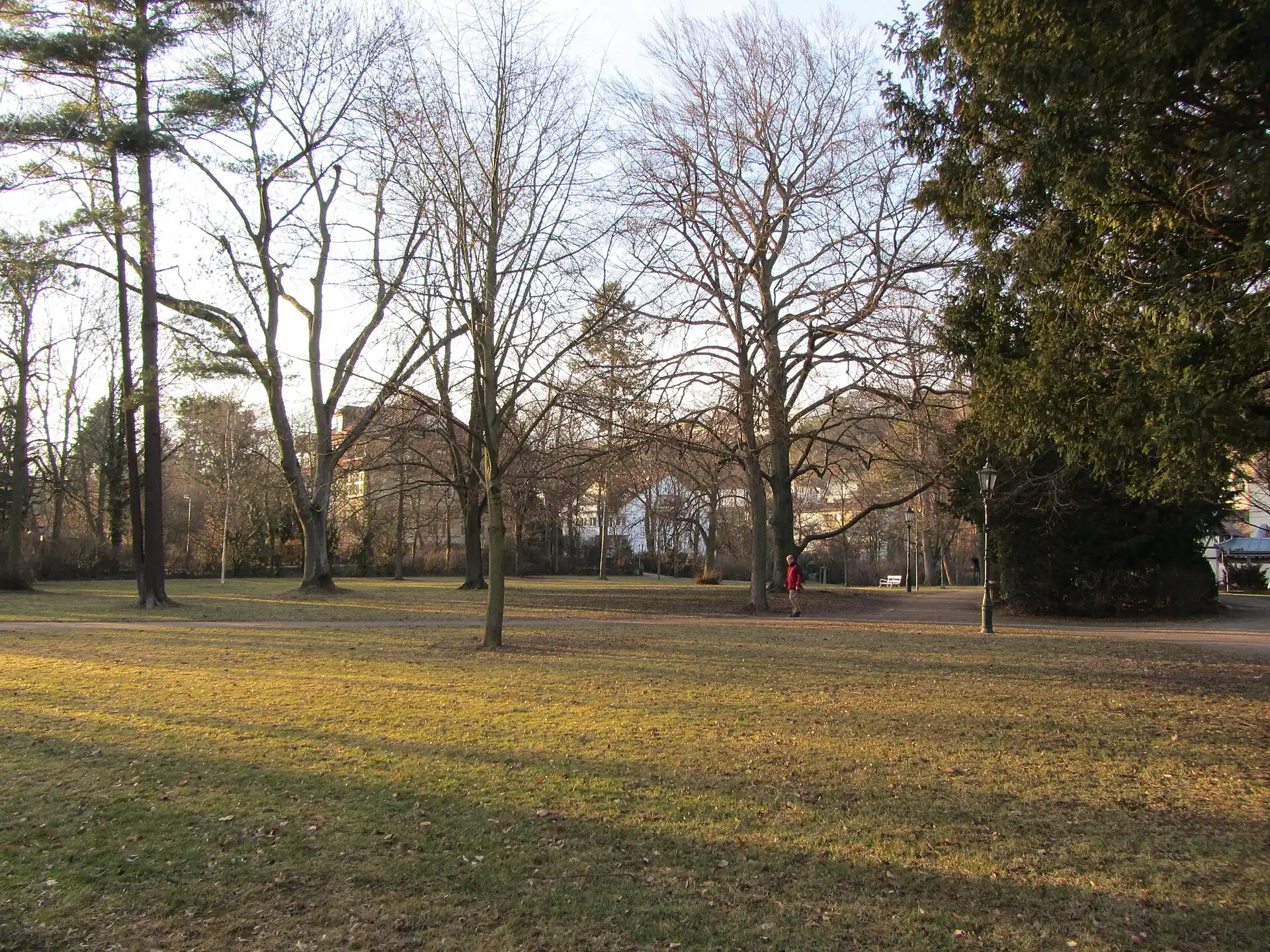 Wiese im Wilhelmspark in Bad Soden am Taunus