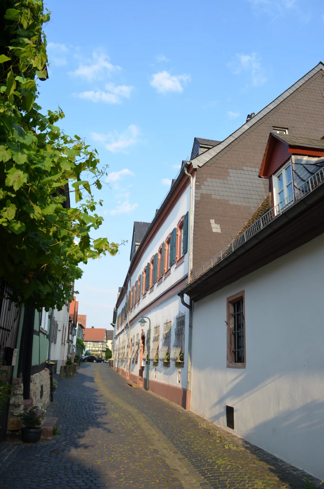Gasse an der Wintergasse 4 in Hochheim am Main