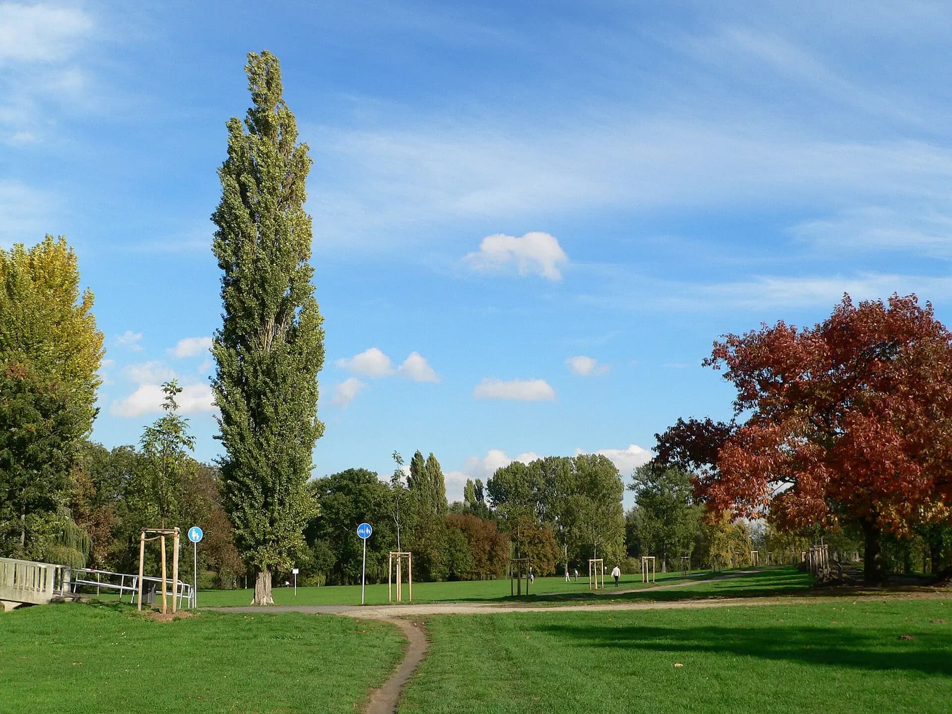 Herbstliche Grünanlage an der Wörthspitze