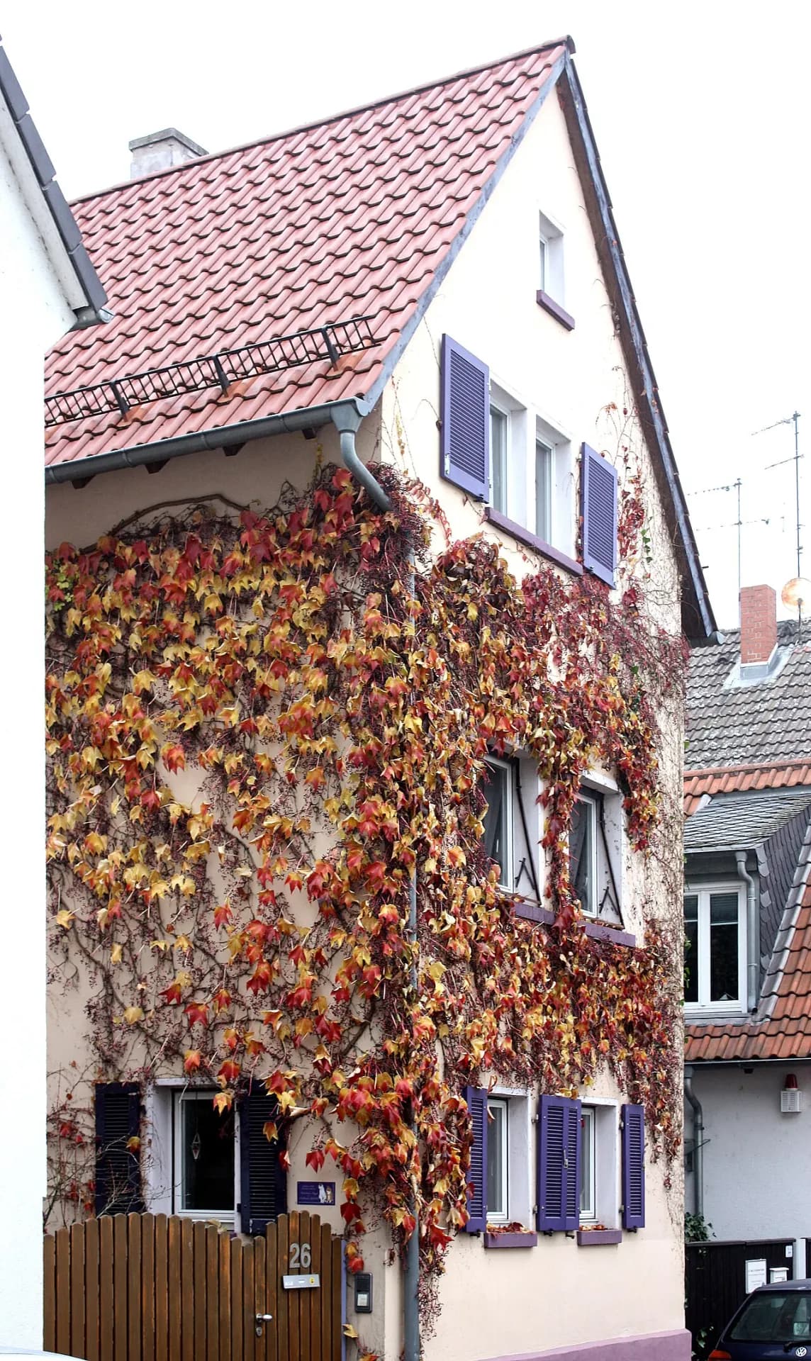 Weinbewachsenes Wohnhaus an der Straße Alt-Heddernheim in Frankfurt Heddernheim