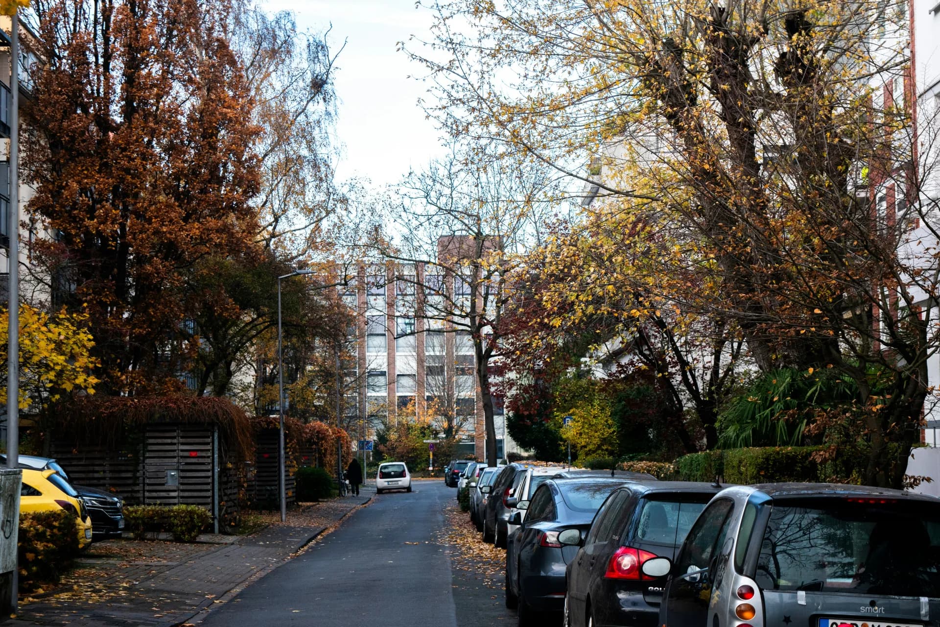Wohnstraße mit parkenden Autos in Darmstadt